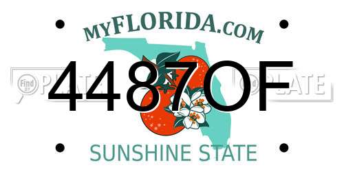 4487OF Florida License Plate