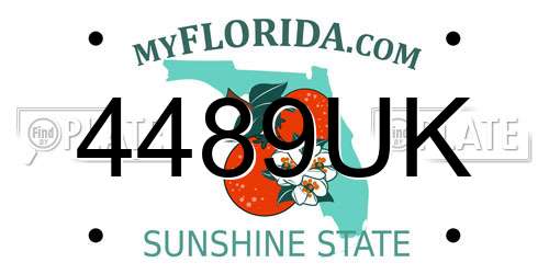 4489UK Florida License Plate