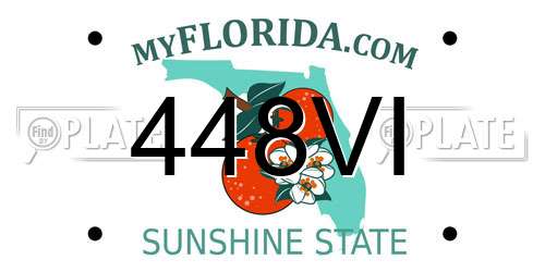 448VI Florida License Plate