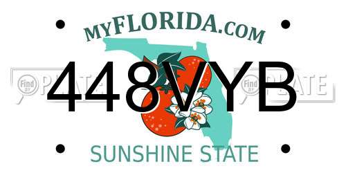 448VYB Florida License Plate