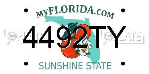 4492TY Florida License Plate