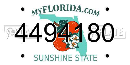 4494180 Florida License Plate