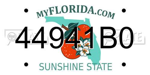 44941B0 Florida License Plate