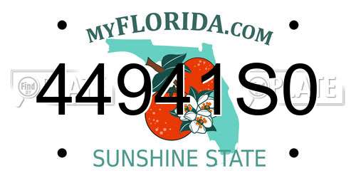 44941S0 Florida License Plate