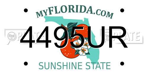 4495UR Florida License Plate