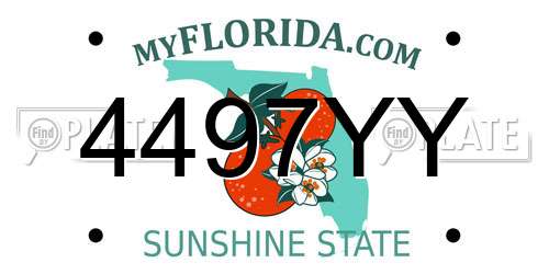 4497YY Florida License Plate