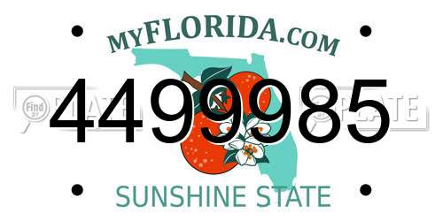 4499985 Florida License Plate
