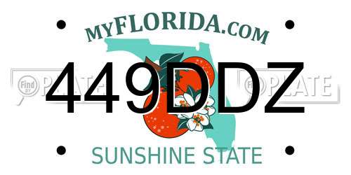 449DDZ Florida License Plate