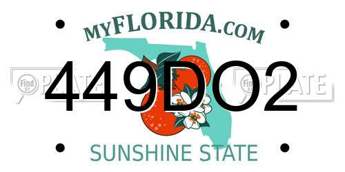 449DO2 Florida License Plate