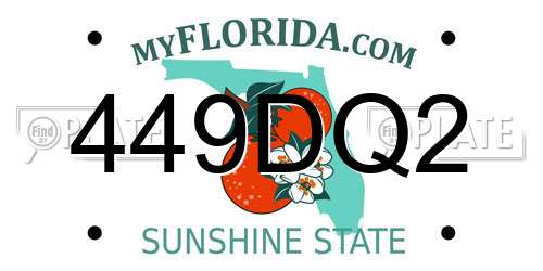 449DQ2 Florida License Plate