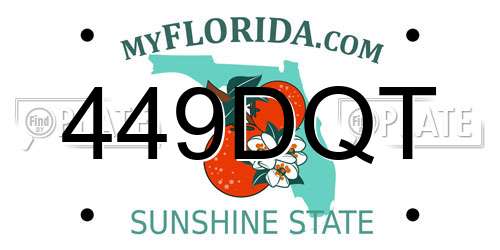 449DQT Florida License Plate