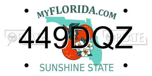 449DQZ Florida License Plate