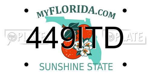 449ITD Florida License Plate