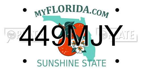 449MJY Florida License Plate