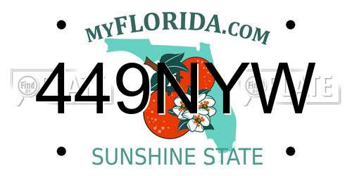 449NYW Florida License Plate