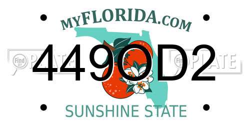 449OD2 Florida License Plate