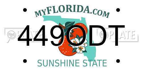 449ODT Florida License Plate