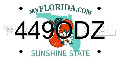 449ODZ Florida License Plate