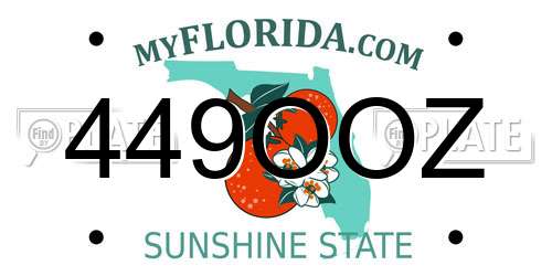 449OOZ Florida License Plate
