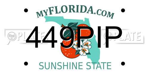 449PIP Florida License Plate