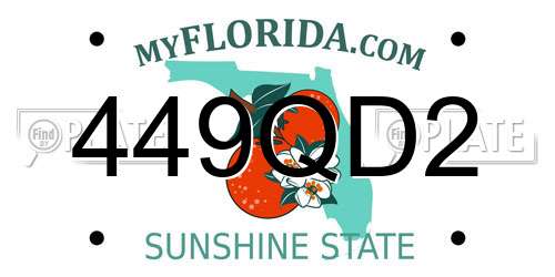 449QD2 Florida License Plate