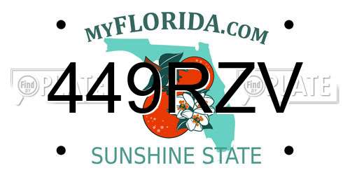 449RZV Florida License Plate