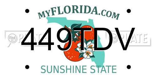 449TDV Florida License Plate