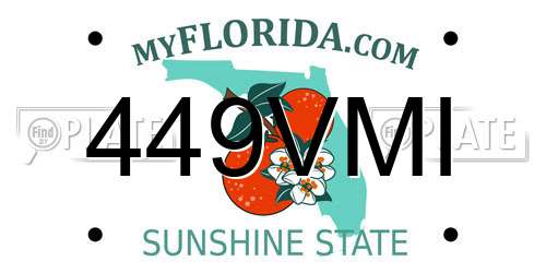 449VMI Florida License Plate