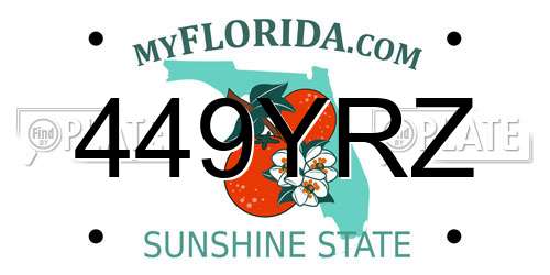 449YRZ Florida License Plate