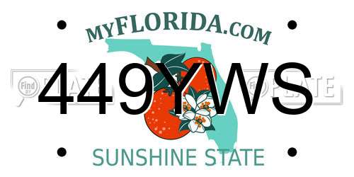 449YWS Florida License Plate