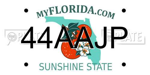 44AAJP Florida License Plate