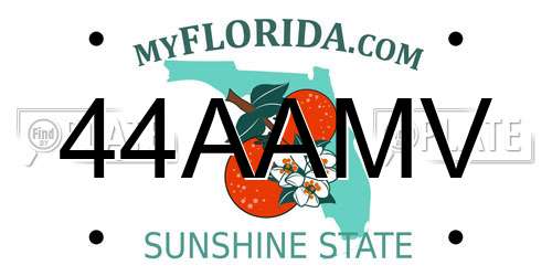 44AAMV Florida License Plate