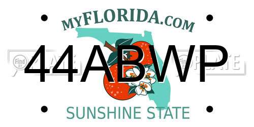 44ABWP Florida License Plate