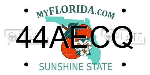 44AECQ Florida License Plate