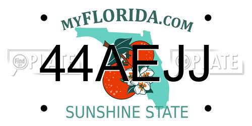 44AEJJ Florida License Plate
