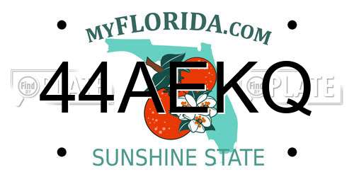44AEKQ Florida License Plate