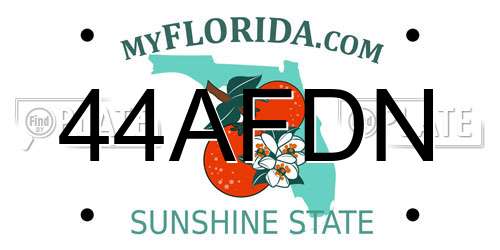 44AFDN Florida License Plate