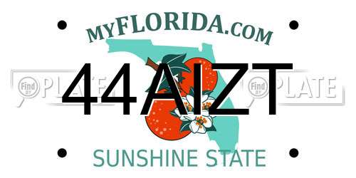 44AIZT Florida License Plate