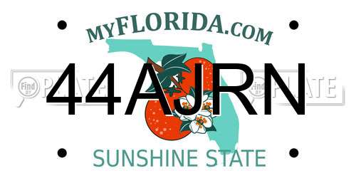 44AJRN Florida License Plate