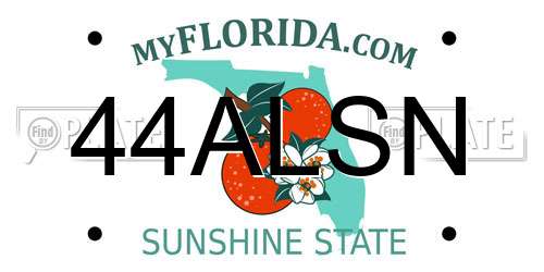 44ALSN Florida License Plate