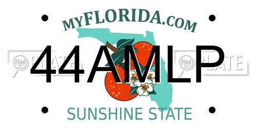 44AMLP Florida License Plate
