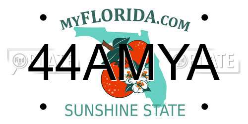 44AMYA Florida License Plate