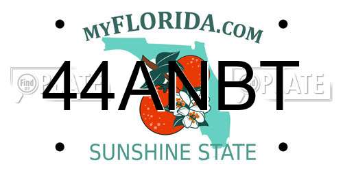 44ANBT Florida License Plate