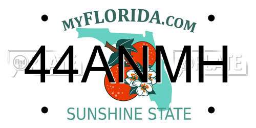 44ANMH Florida License Plate