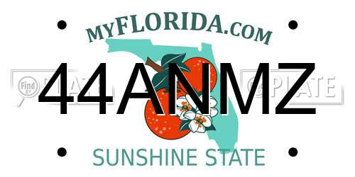 44ANMZ Florida License Plate