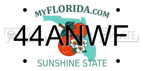 44ANWF Florida License Plate