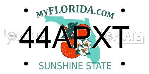 44APXT Florida License Plate