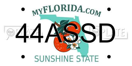 44ASSD Florida License Plate