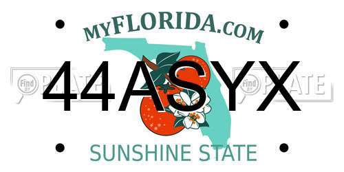 44ASYX Florida License Plate