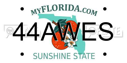 44AWES Florida License Plate